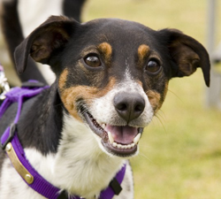 Photo by Sally H Frankel, 2008